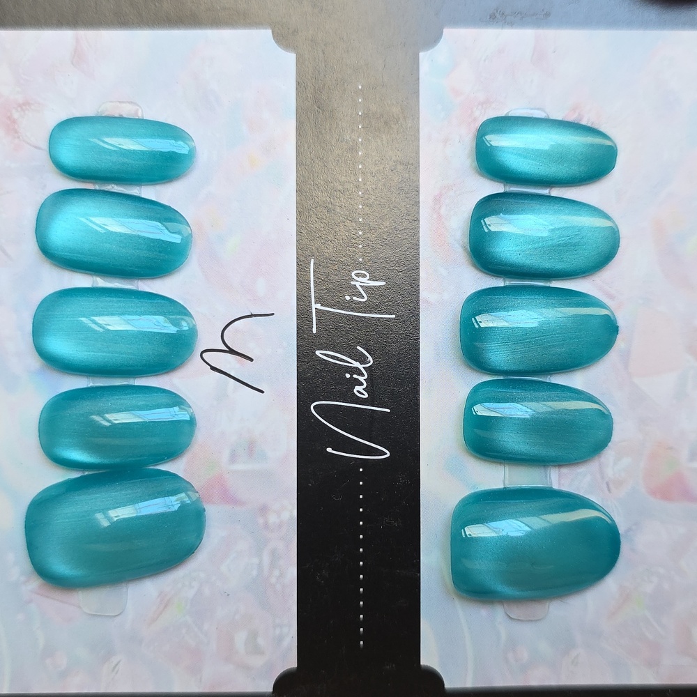 Blue Press-On Nails